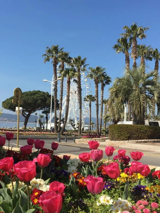 Apartamento Appart T2 Saint Raphael - Valescure